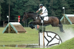 luhmuehlen-2011_cci4-140-jpg