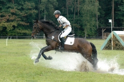 luhmuehlen-2011_cci4-141-jpg