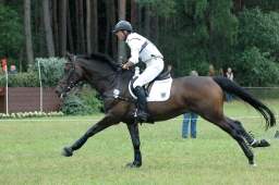 luhmuehlen-2011_cci4-143-jpg