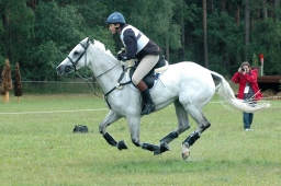 luhmuehlen-2011_cci4-148-jpg