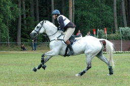 luhmuehlen-2011_cci4-149-jpg