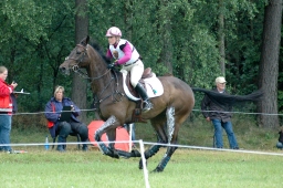 luhmuehlen-2011_cci4-151-jpg