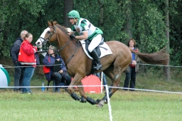 luhmuehlen-2011_cci4-157-jpg