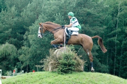 luhmuehlen-2011_cci4-159-jpg