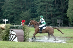 luhmuehlen-2011_cci4-160-jpg