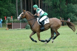 luhmuehlen-2011_cci4-163-jpg