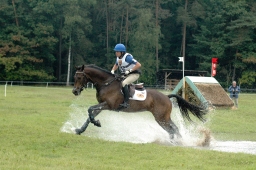 luhmuehlen-2011_cci4-168-jpg