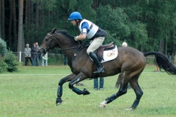 luhmuehlen-2011_cci4-169-jpg