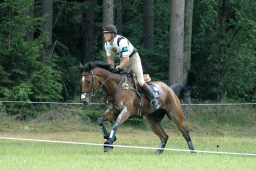 luhmuehlen-2011_cci4-172-jpg