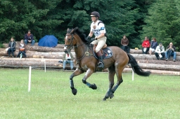 luhmuehlen-2011_cci4-173-jpg