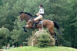 luhmuehlen-2011_cci4-174-jpg