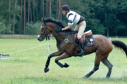 luhmuehlen-2011_cci4-176-jpg
