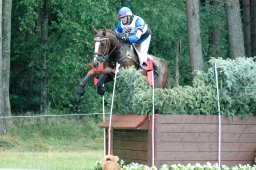 luhmuehlen-2011_cci4-178-jpg