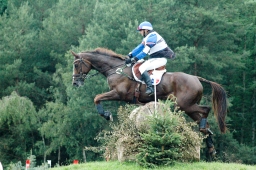 luhmuehlen-2011_cci4-179-jpg