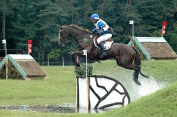 luhmuehlen-2011_cci4-181-jpg