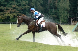 luhmuehlen-2011_cci4-182-jpg