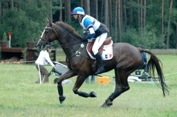 luhmuehlen-2011_cci4-183-jpg
