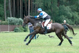 luhmuehlen-2011_cci4-184-jpg