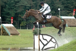 luhmuehlen-2011_cci4-187-jpg