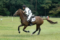 luhmuehlen-2011_cci4-188-jpg