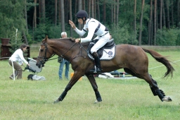 luhmuehlen-2011_cci4-189-jpg