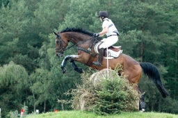 luhmuehlen-2011_cci4-191-jpg