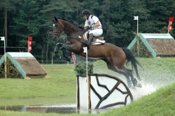 luhmuehlen-2011_cci4-193-jpg