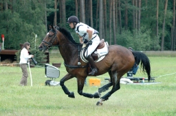 luhmuehlen-2011_cci4-194-jpg