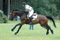 luhmuehlen-2011_cci4-195-jpg