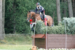 luhmuehlen-2011_cci4-196-jpg