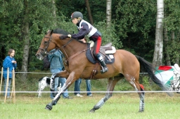 luhmuehlen-2011_cci4-197-jpg