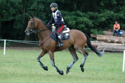 luhmuehlen-2011_cci4-198-jpg