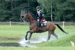 luhmuehlen-2011_cci4-199-jpg