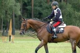luhmuehlen-2011_cci4-200-jpg