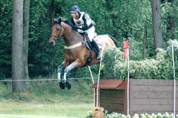 luhmuehlen-2011_cci4-201-jpg