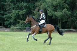 luhmuehlen-2011_cci4-202-jpg