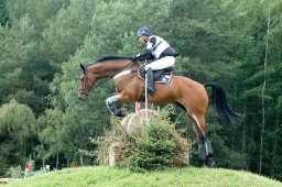 luhmuehlen-2011_cci4-203-jpg