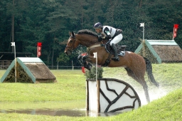 luhmuehlen-2011_cci4-205-jpg