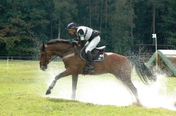 luhmuehlen-2011_cci4-206-jpg
