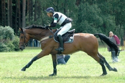 luhmuehlen-2011_cci4-207-jpg