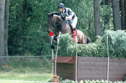 luhmuehlen-2011_cci4-208-jpg