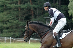 luhmuehlen-2011_cci4-209-jpg