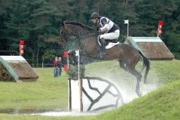 luhmuehlen-2011_cci4-210-jpg