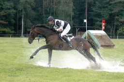 luhmuehlen-2011_cci4-211-jpg