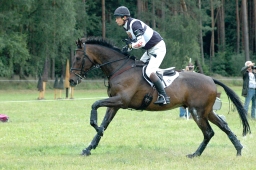 luhmuehlen-2011_cci4-212-jpg