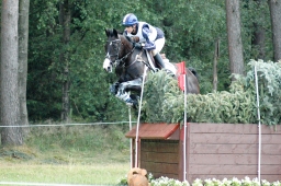 luhmuehlen-2011_cci4-213-jpg