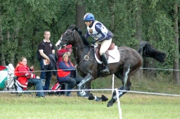 luhmuehlen-2011_cci4-214-jpg