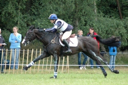 luhmuehlen-2011_cci4-215-jpg