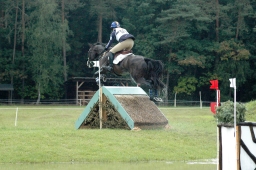 luhmuehlen-2011_cci4-217-jpg
