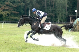 luhmuehlen-2011_cci4-220-jpg